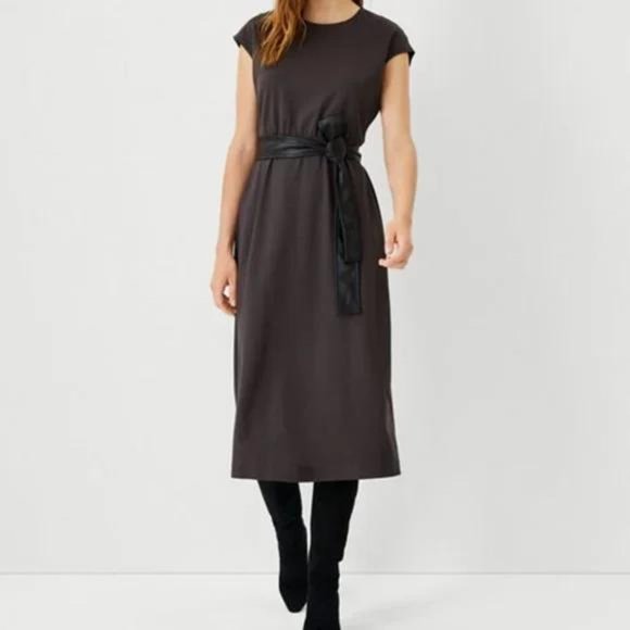 Ann Taylor Faux Leather Belted Flare Dress - Picture 4 of 4